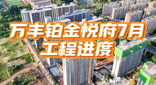 禹州万丰铂金悦府2025年7月份工程进度播报【视频】