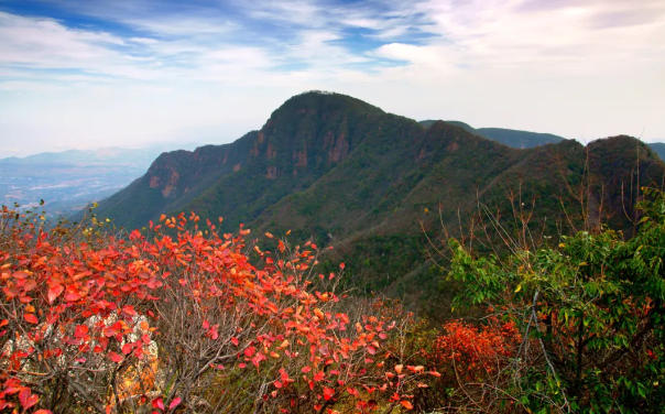 禹州人别错过！大鸿寨红叶节官宣，还有 “慢旅游” 登山活动，约吗？
