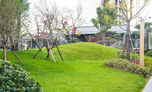 冬日绿境，邂逅诗意栖居