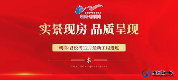 禹州朝鸿君悦湾2024年12月最新工程进度