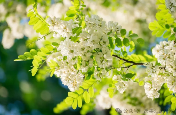 1773914649405127.png ScreenShot_2026-03-19_180345_532.png